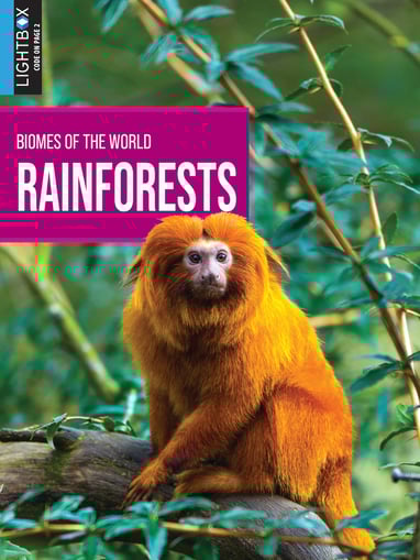 BOTW-Rainforests