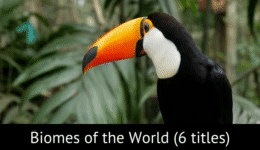 Biomes of the World